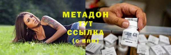 прущие грибы Саяногорск