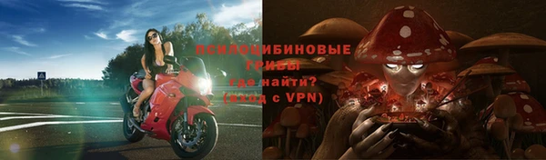 таблы Липки