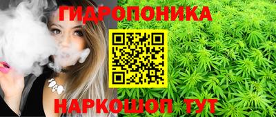 гидропоника Азнакаево