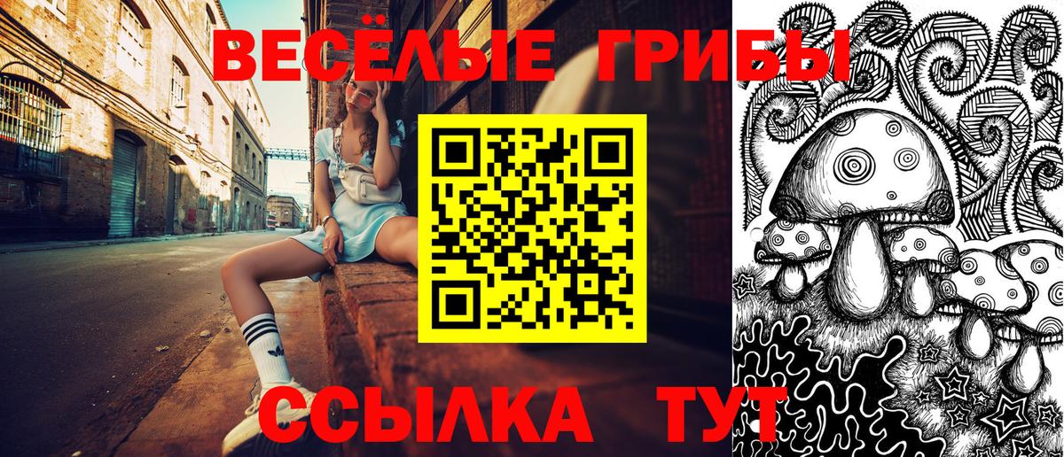 Псилоцибиновые грибы мухоморы Усть-Кут